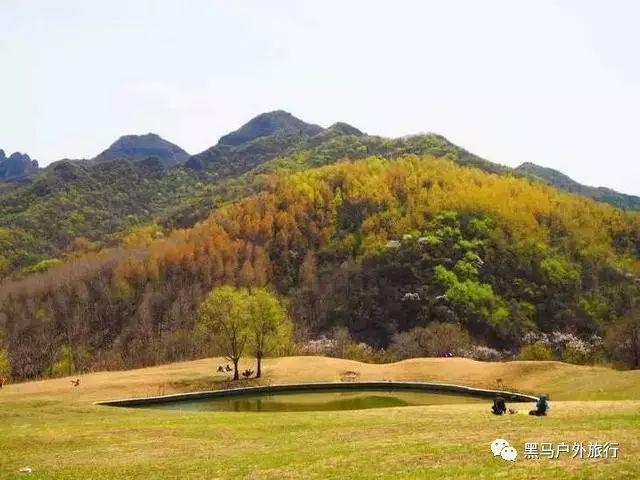 丧尸围城3